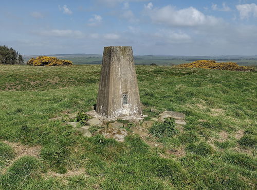 Chester Hill Trig Point