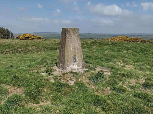 Chester Hill Trig Point
