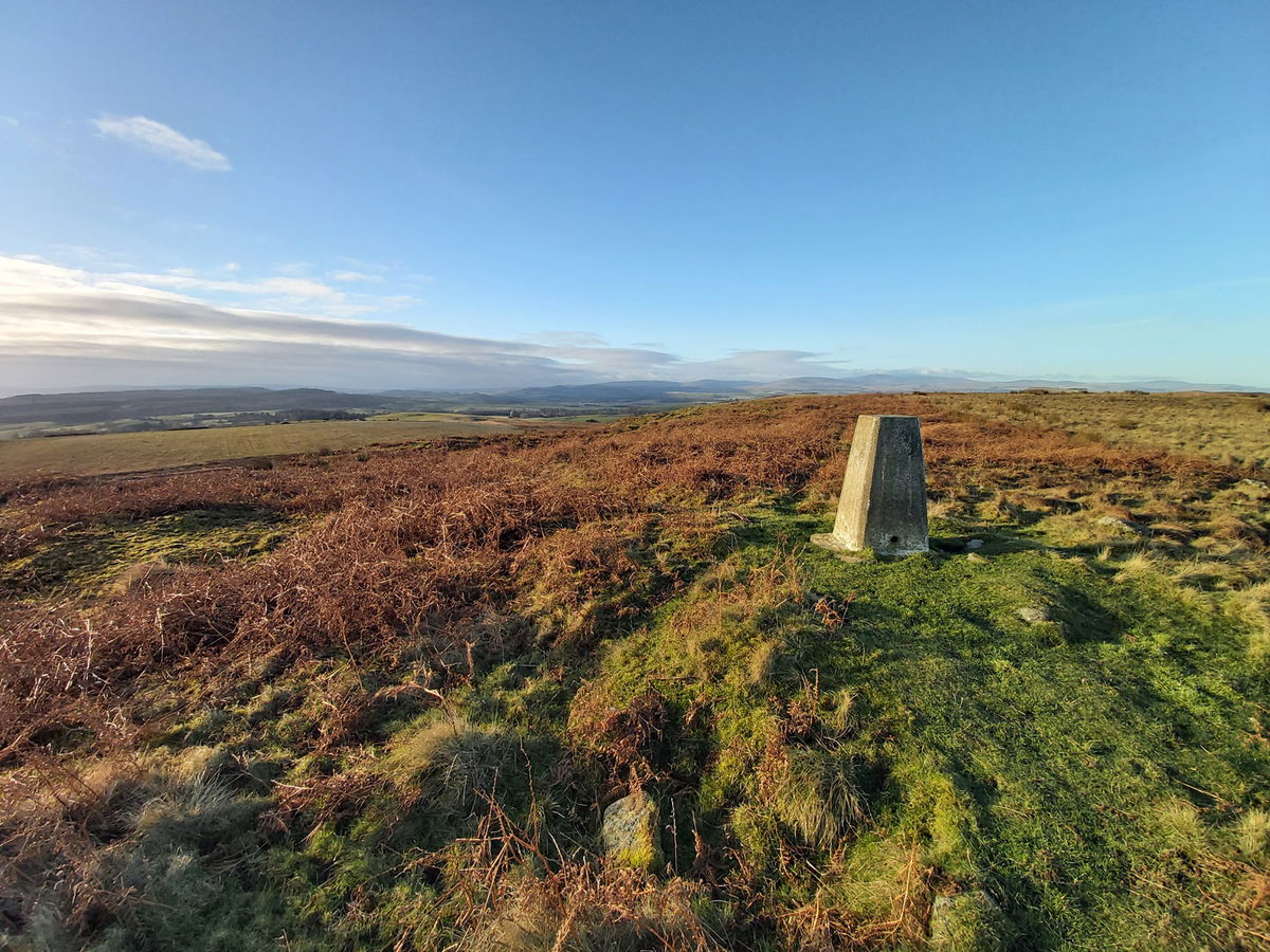 Curleheugh Trig Point In Chillingham - Northumberland Trig Points
