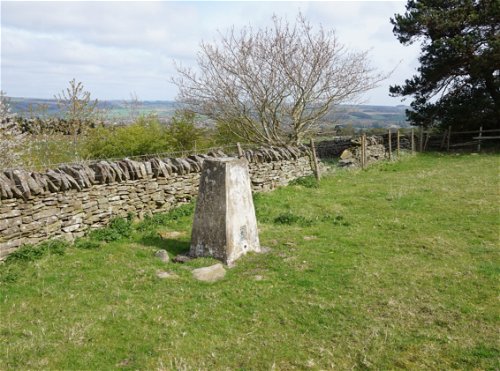 Dilston Trig Point