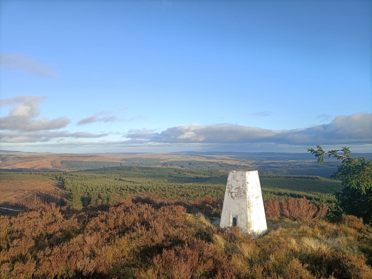 Ellis Crag Trig Point In Byrness - Northumberland Trig Points