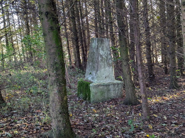 Five Lane Ends Trig Point