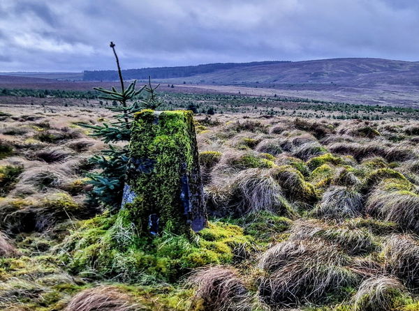 Foulmire Heights Trig Point