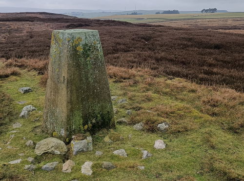 Gaterley Hill Trig Point