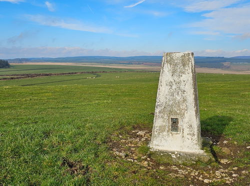 Greenleighton Trig Point