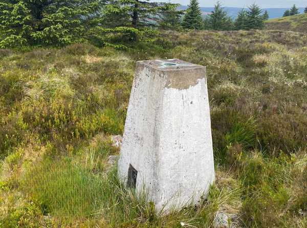 Grey's Pike Trig Point