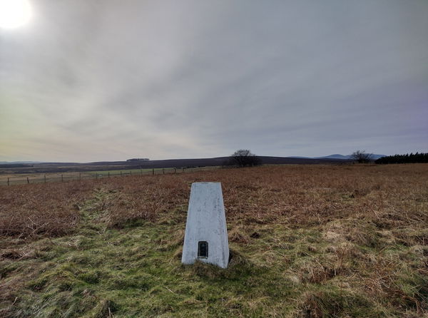 Hangwell Law Trig Point