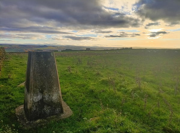 Haydon Fell Trig Point