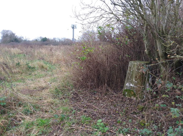 Hedley Hill Trig Point