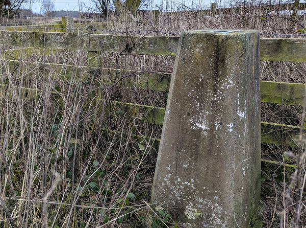 Helm Trig Point