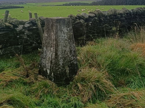 Hexham Common Trig Point