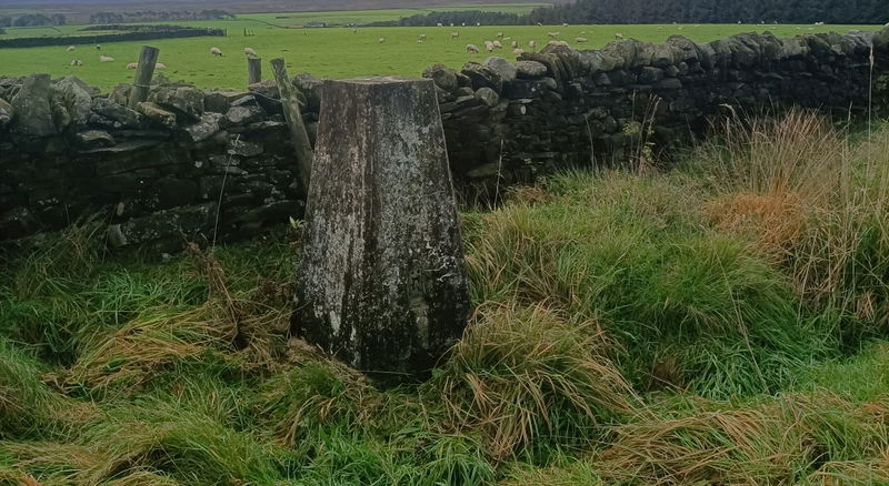 Hexham Common Trig Point In Hexham - Northumberland Trig Points