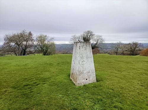 Hexham Racecourse Trig Point