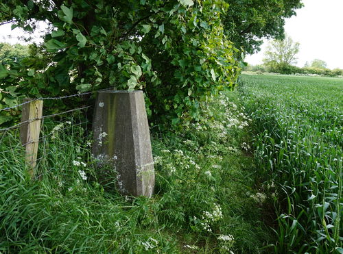 Higham Dykes Trig Point