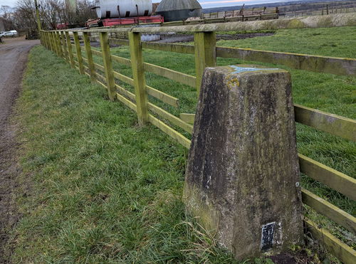 Hillhead Trig Point