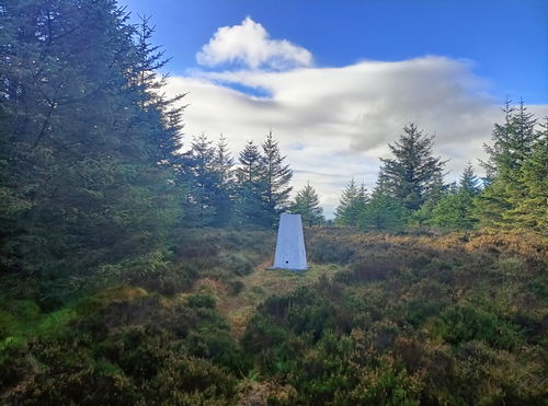 Hindhope Law Trig Point