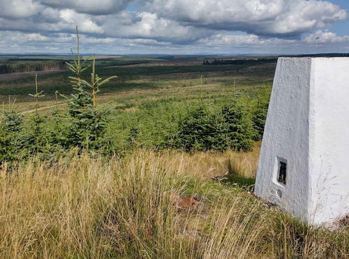 Hopealone Trig Point