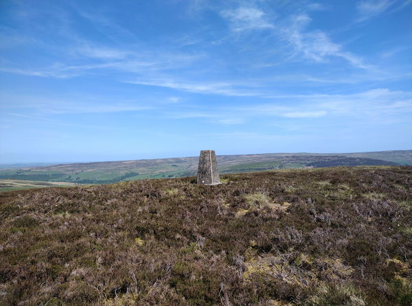 Knarsdale Forest Trig Point