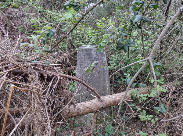 Law Plantation Trig Point