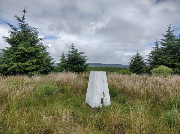 Little Hen Hill Trig Point