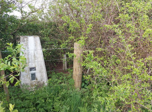 Menceles Trig Point