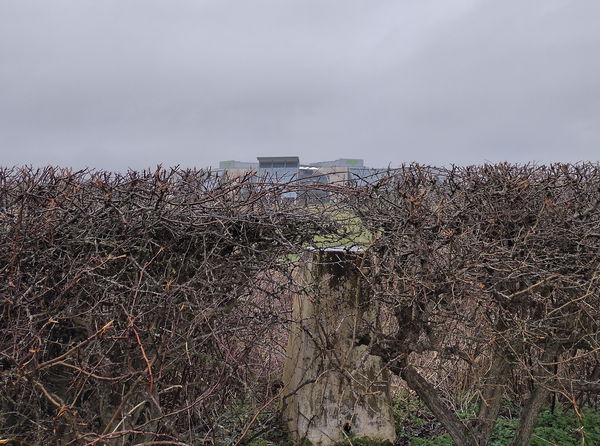 Middle Brunton West Farm Trig Point