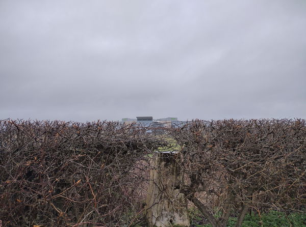 Middle Brunton West Farm Trig Point