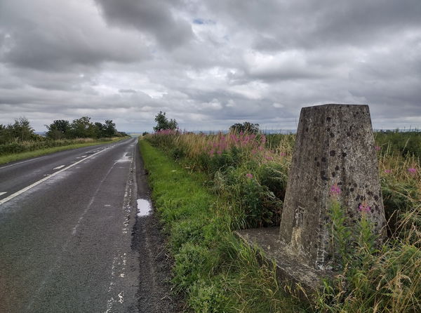 Military Road Trig Point