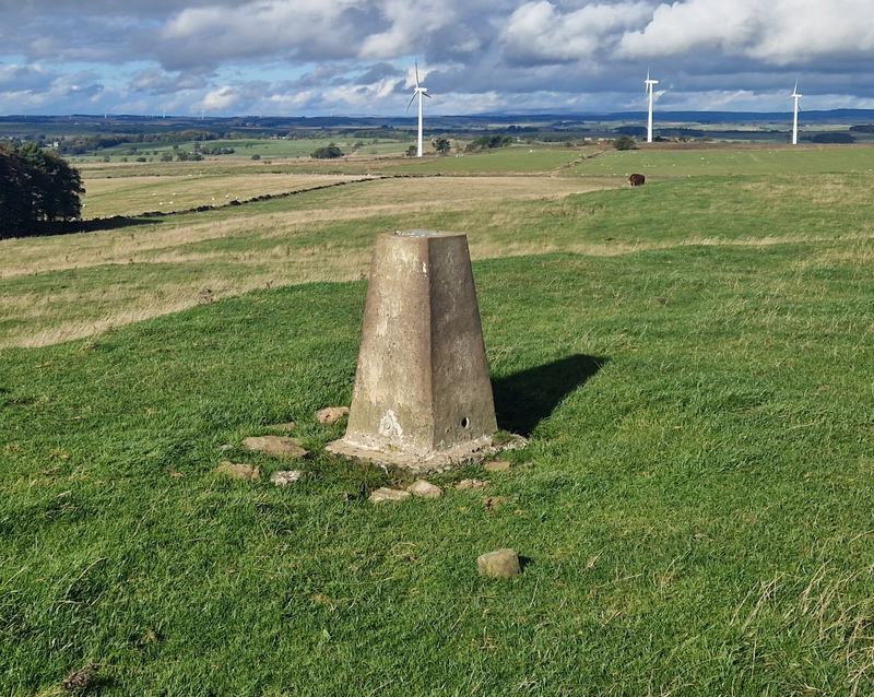 Moot Law Trig Point In Swinburne - Northumberland Trig Points
