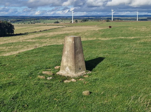 Moot Law Trig Point