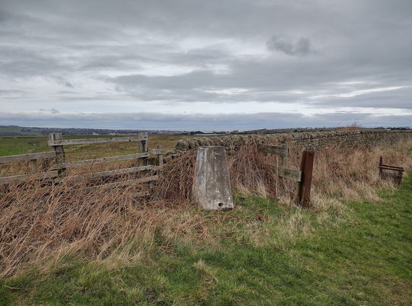 Murton Whitehouse Trig Point