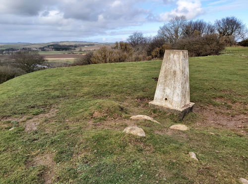 Night Fold Field Trig Point