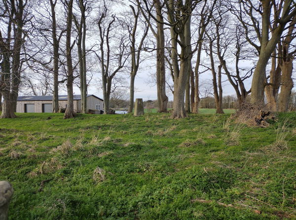 Pasture Hill Plantation Trig Point