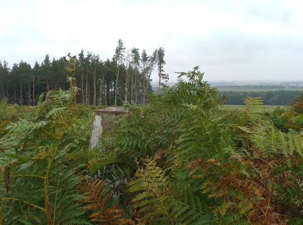 Rhodes Hill Trig Point