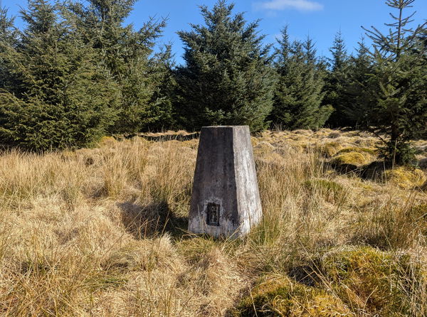 Round Top Trig Point