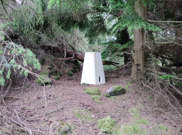 Shepherdskirk Hill Trig Point