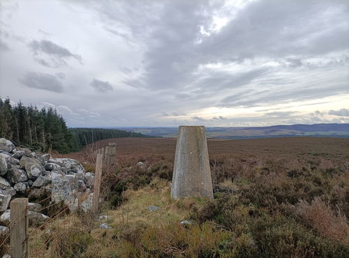 Shirlah Pike Trig Point