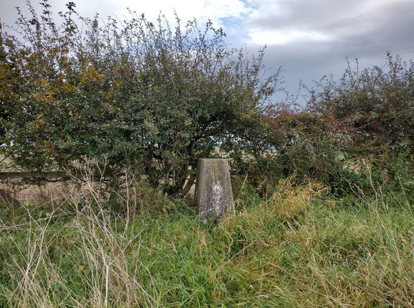 Shoreswood Trig Point