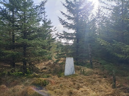 The Dodd Trig Point