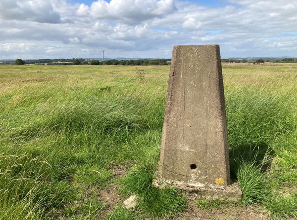 Thornton House Trig Point