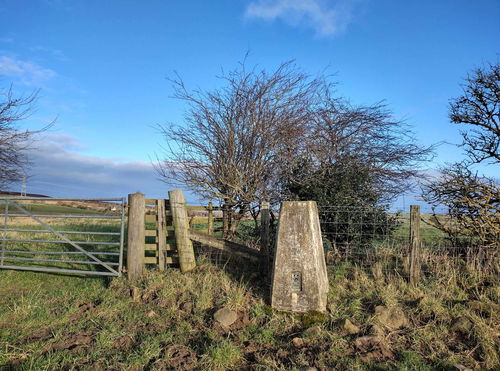 Thorny Hill Trig Point