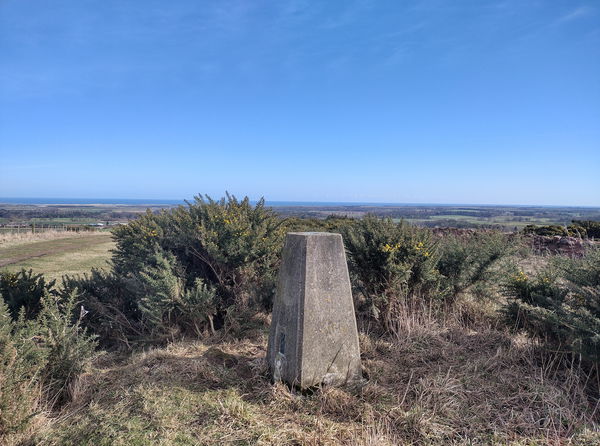 Tinely Moor Trig Point
