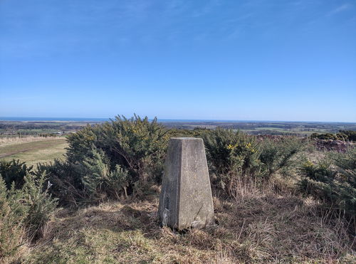 Tinely Moor Trig Point