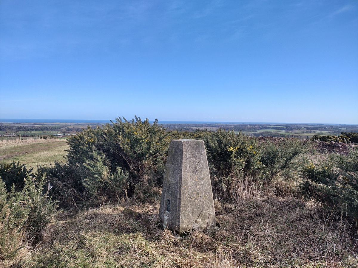 Tinely Moor Trig Point In Preston - Northumberland Trig Points