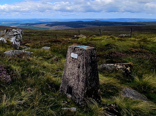 Whitelyne Common Trig Point