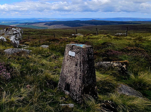 Whitelyne Common Trig Point