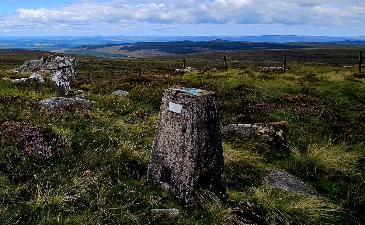 Whitelyne Common Trig Point In Kielder - Northumberland Trig Points