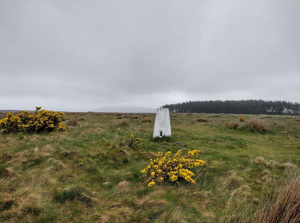 Whitsunbank Hill Trig Point