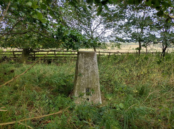 Whitton Hill Trig Point