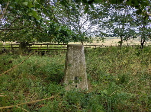 Whitton Hill Trig Point